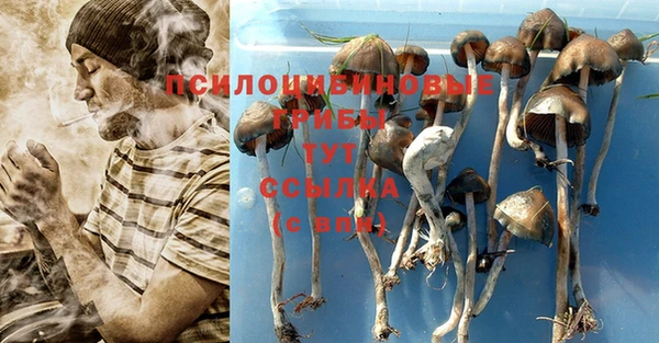 эйфоретик Кулебаки
