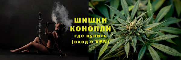 ECSTASY Ладушкин