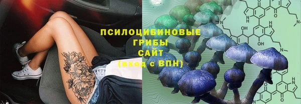 ECSTASY Ладушкин