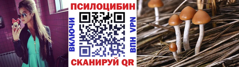 Купить  Алексеевка  Псилоцибиновые грибы ЛСД 