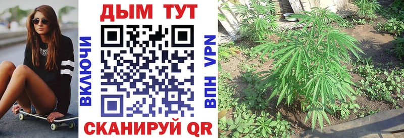 МАРИХУАНА план  Купить закладки  Алексеевка 